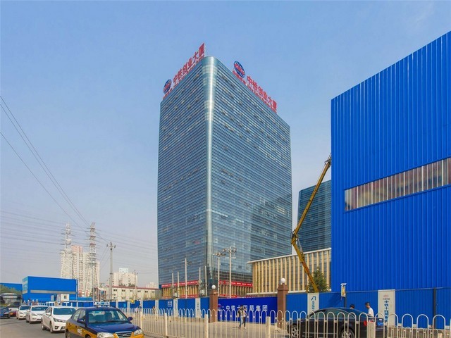 鲤城浮桥金钱树零售